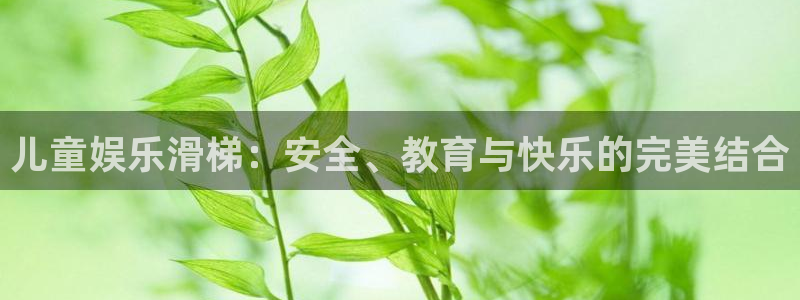 永盈welcome3平台注册：儿童娱乐滑梯：安全、教育与快乐的完美结合