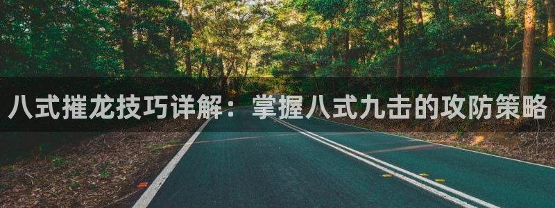 永盈welcome平台开户链接：八式摧龙技巧详解：掌握八式九击的攻防策略