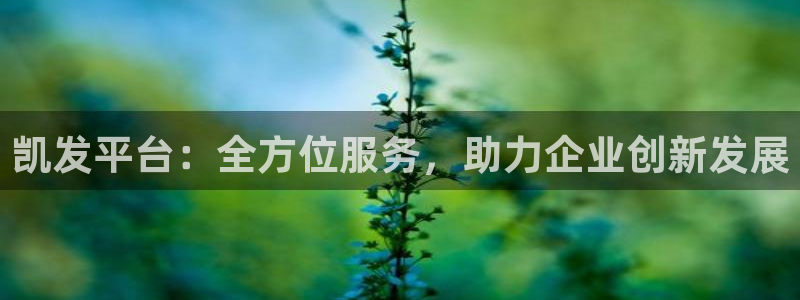 成都永盈welcome电子有限公司：凯发平台：全方位服务，助力企业创新发展