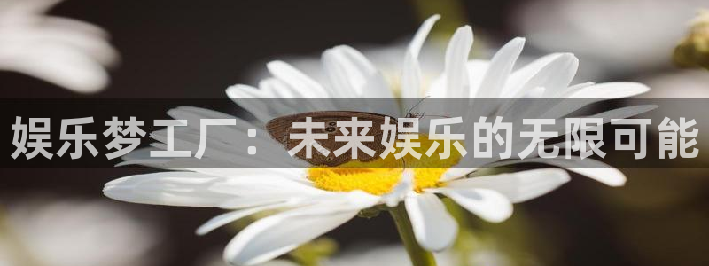 永盈welcome代理：娱乐梦工厂：未来娱乐的无限可能