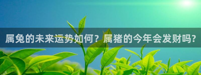永盈welcome注册：属兔的未来运势如何？属猪的今年会发财吗?