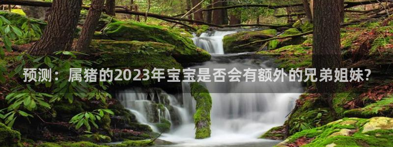 永盈welcome体育免费注册入口：预测：属猪的2023年宝宝是否会有额外的兄弟