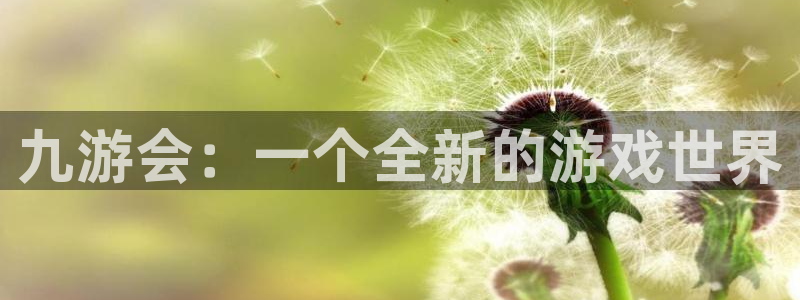 永盈welcome主管：九游会：一个全新的游戏世界