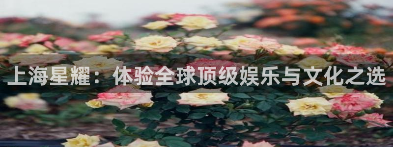永盈welcome2注册：上海星耀：体验全球顶级娱乐与文化之选