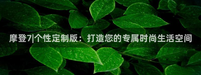 永盈welcome平台开户：摩登7|个性定制版：打造您的专属时尚生活空间