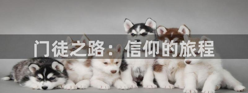 永盈welcome体育老板是谁：门徒之路：信仰的旅程
