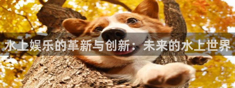 永盈welcome平台开户链接：水上娱乐的革新与创新：未来的水上世界