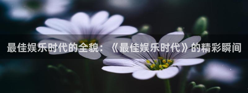 永盈welcome体育1招商：最佳娱乐时代的全貌：《最佳娱乐时代》的精彩瞬间