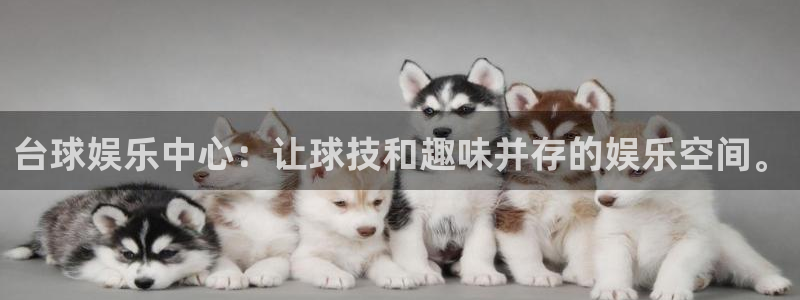 永盈welcome平台在线注册：台球娱乐中心：让球技和趣味并存的娱乐空间。