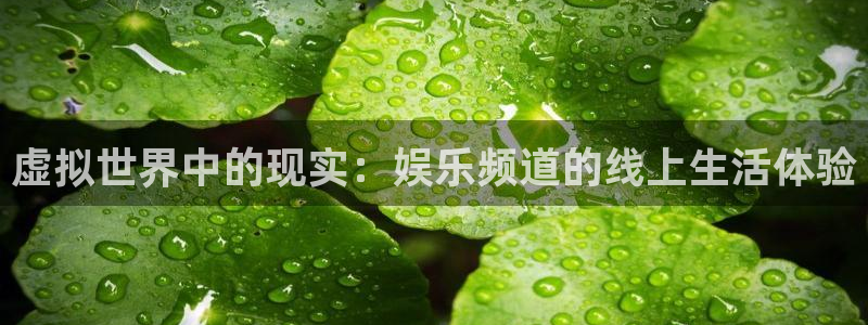 永盈welcome集团官网：虚拟世界中的现实：娱乐频道的线上生活体验
