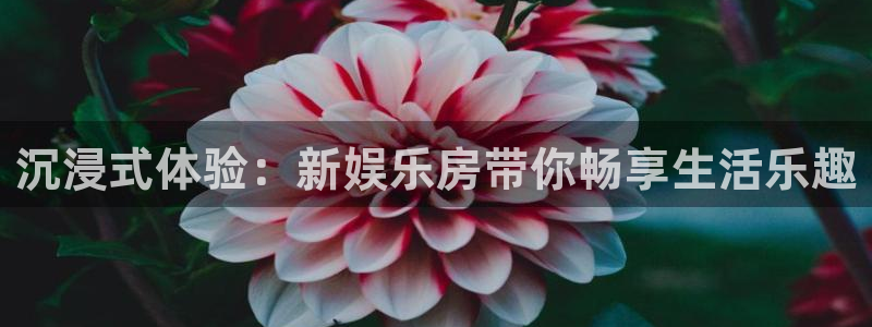 www.永盈welcome体育.com：沉浸式体验：新娱乐房带你畅享生活乐趣