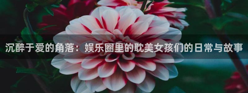 永盈welcome5注册：沉醉于爱的角落：娱乐圈里的耽美女孩们的日常与故事