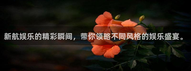 永盈welcome3登陆：新航娱乐的精彩瞬间，带你领略不同风格的娱乐盛宴。