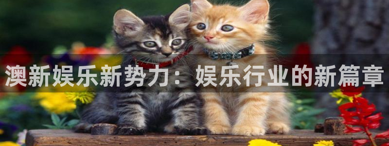 永盈welcome平台招商：澳新娱乐新势力：娱乐行业的新篇章