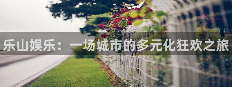 永盈welcome体育注册平台：乐山娱乐：一场城市的多元化狂欢之旅