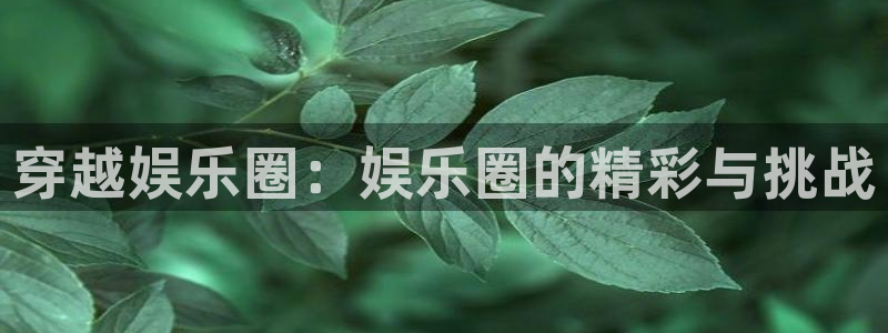 永盈welcome平台注册：穿越娱乐圈：娱乐圈的精彩与挑战