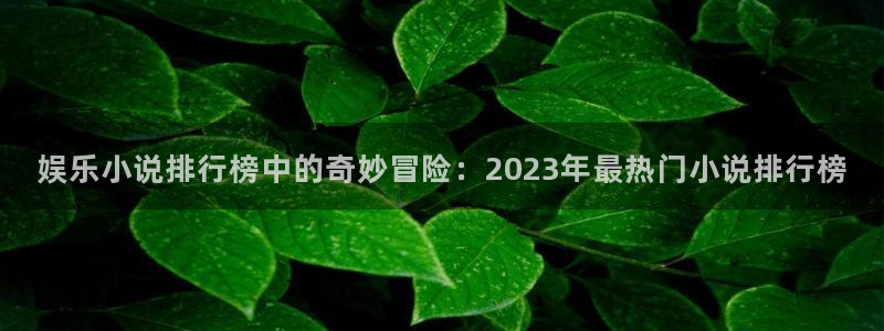 永盈welcome体育平台注册：娱乐小说排行榜中的奇妙冒险：2023年最热门小说