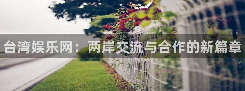 永盈welcome官网注册：台湾娱乐网：两岸交流与合作的新篇章