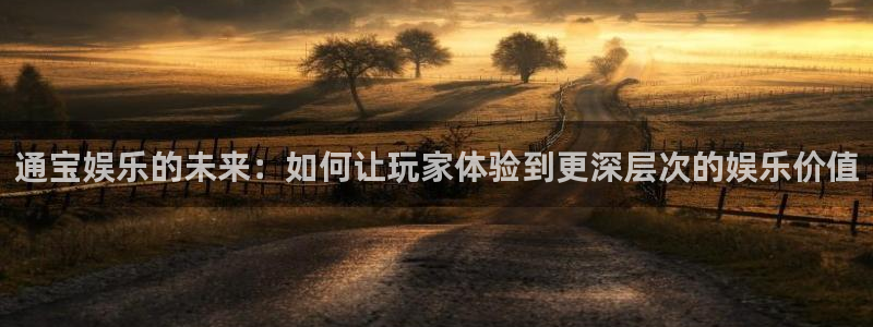 永盈welcome登录注册：通宝娱乐的未来：如何让玩家体验到更深层次的娱乐价值