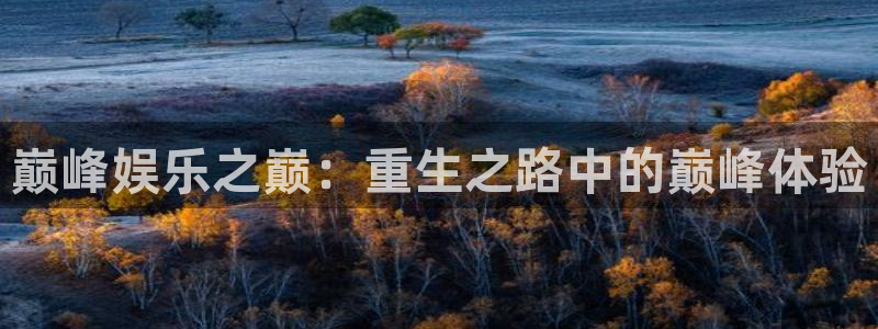 上海永盈welcome汽车电子有限公司：巅峰娱乐之巅：重生之路中的巅峰体验