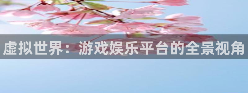 永盈welcome4：虚拟世界：游戏娱乐平台的全景视角