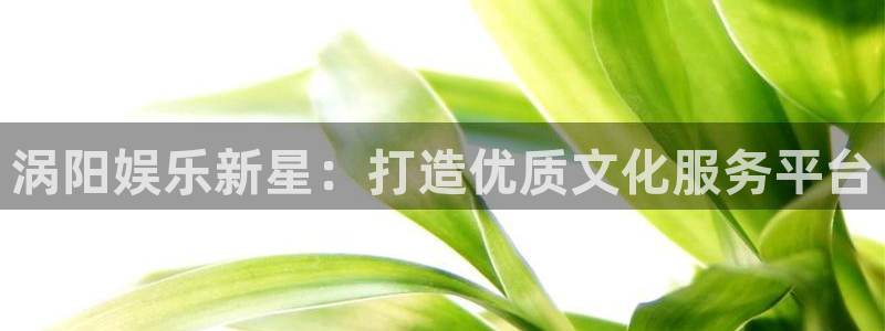 永盈welcome体育老板是谁：涡阳娱乐新星：打造优质文化服务平台