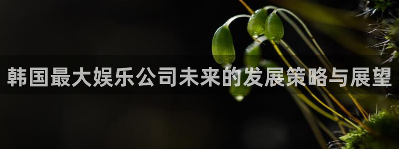 永盈welcome4官网：韩国最大娱乐公司未来的发展策略与展望
