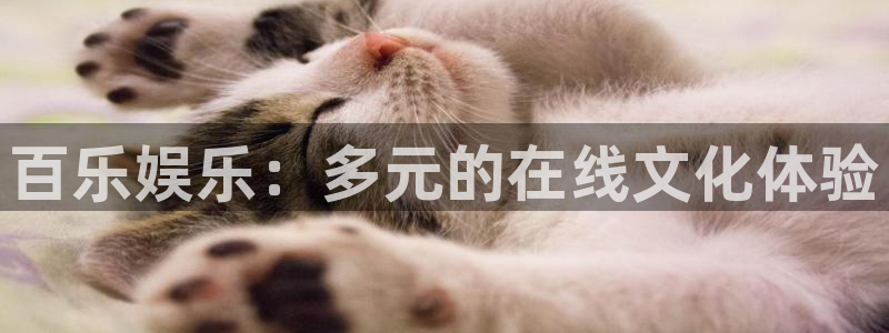 东莞市永盈welcome电子科技有限公司：百乐娱乐：多元的在线文化体验