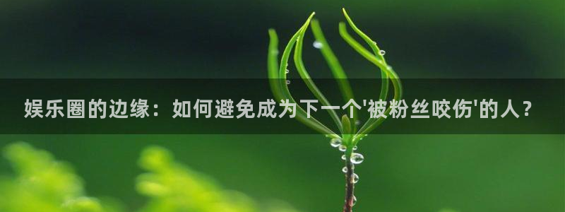 永盈welcome体育凯捷平台招商：娱乐圈的边缘：如何避免成为下一个\'被粉丝咬