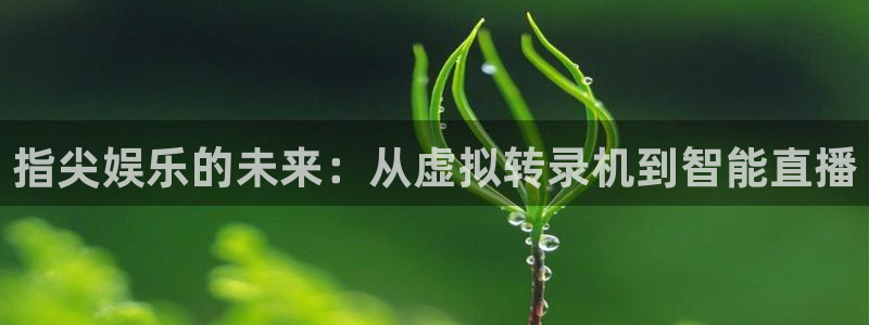 永盈welcome体育注册平台：指尖娱乐的未来：从虚拟转录机到智能直播