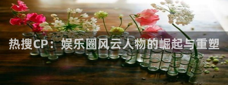 成都永盈welcome电子有限公司：热搜CP：娱乐圈风云人物的崛起与重塑