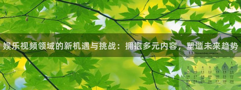 永盈welcome体育4：娱乐视频领域的新机遇与挑战：拥抱多元内容，塑造未来趋势