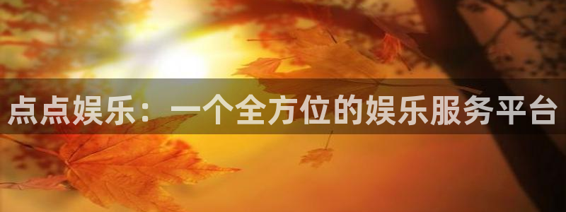 永盈welcome体育合法嘛：点点娱乐：一个全方位的娱乐服务平台