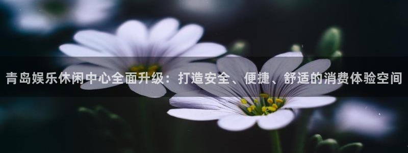 东莞市永盈welcome电子科技有限公司：青岛娱乐休闲中心全面升级：打造安全、便