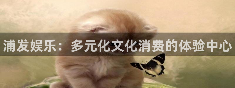 永盈welcome体育4：浦发娱乐：多元化文化消费的体验中心